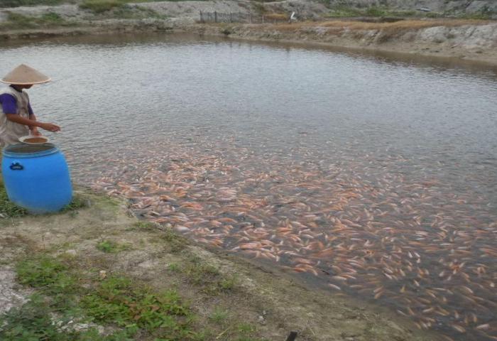 KKP Distribusikan 7.255 Paket Bantuan Alat Tangkap Ikan